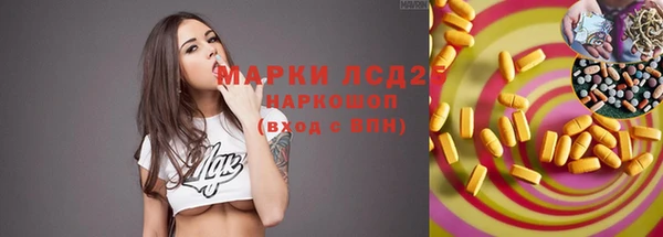 сатива Краснослободск