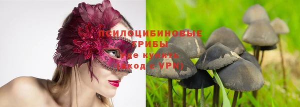 сатива Краснослободск