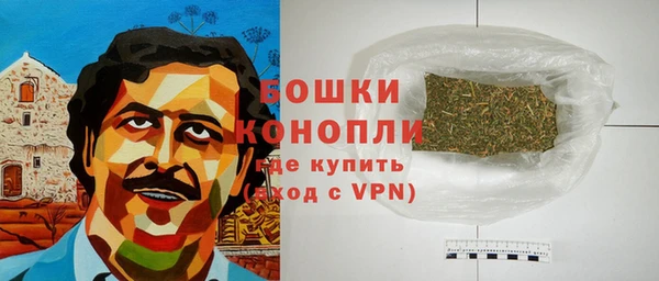 сатива Краснослободск