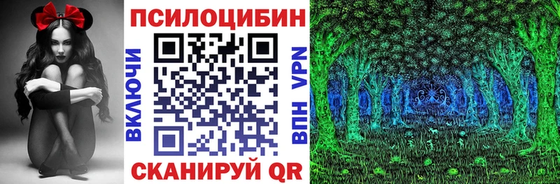 Купить закладки  Хабаровск  Псилоцибиновые грибы Magic Shrooms 